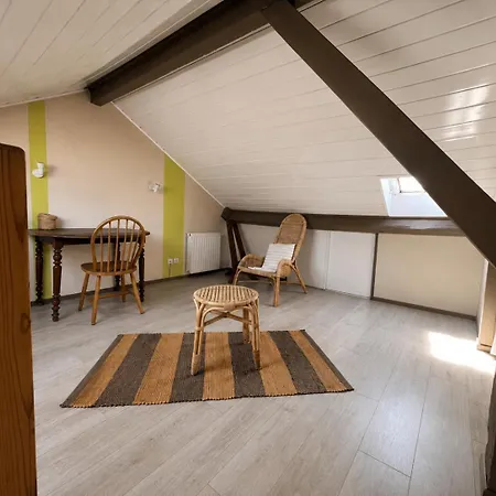 Bel Lumineux Et Chaleureux Apartmán Biarritz